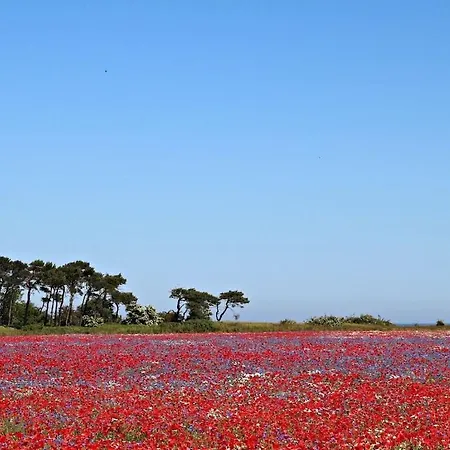 Tatil Evi With 2 Bedrooms *