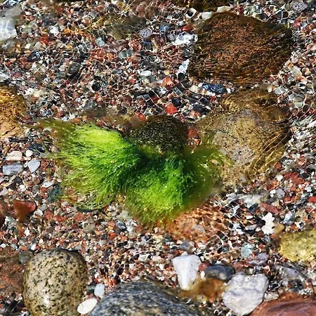 Tatil Evi With 2 Bedrooms Dranske