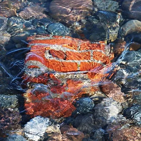 Tatil Evi With 2 Bedrooms *